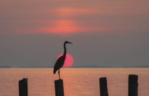 waterfront rental in Ocean City MD